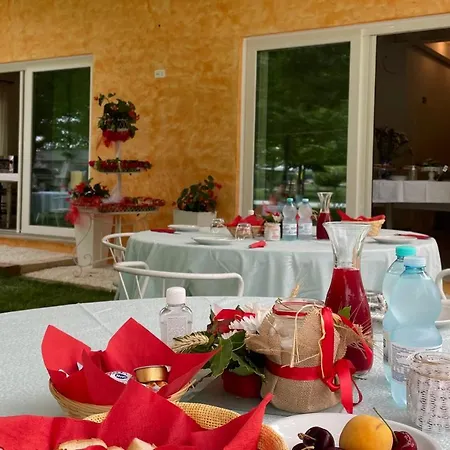 Lucciole Nella Nebbia