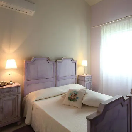 Lucciole Nella Nebbia Stellata