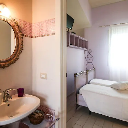 Lucciole Nella Nebbia Stellata