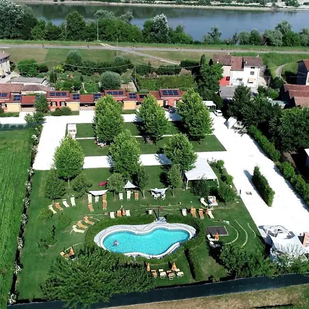 Lucciole Nella Nebbia Stellata