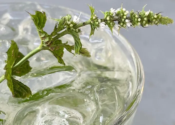 Lucciole Nella Nebbia