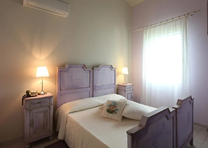 Lucciole Nella Nebbia Stellata