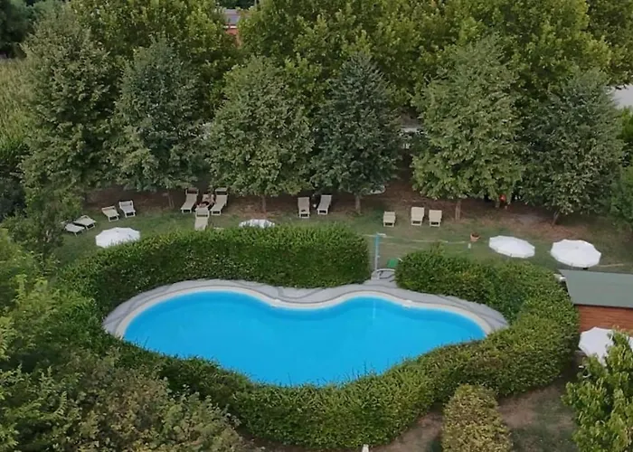 Lucciole Nella Nebbia Stellata