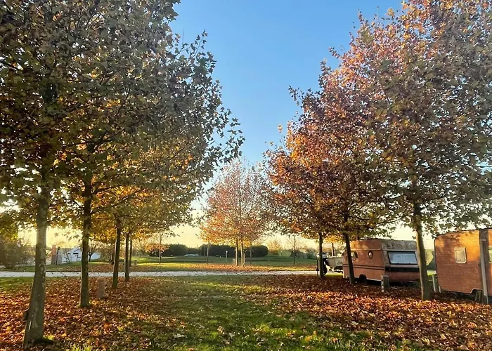 Lucciole Nella Nebbia Vakantiepark Stellata