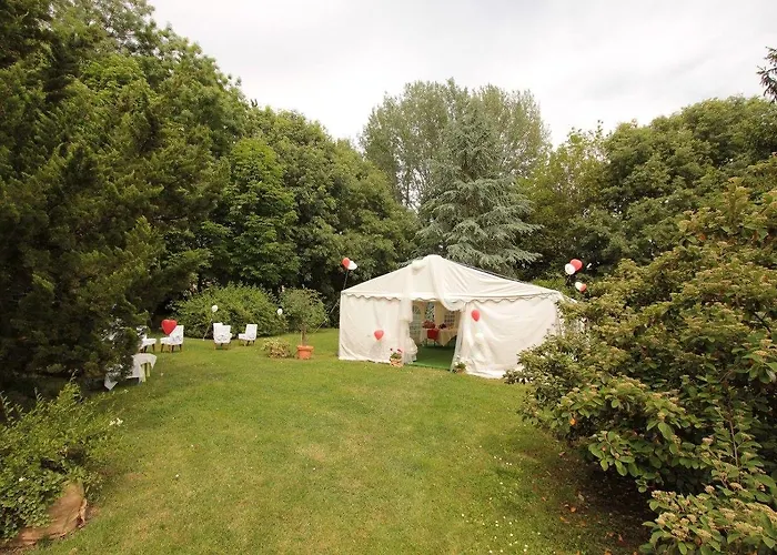 Lucciole Nella Nebbia